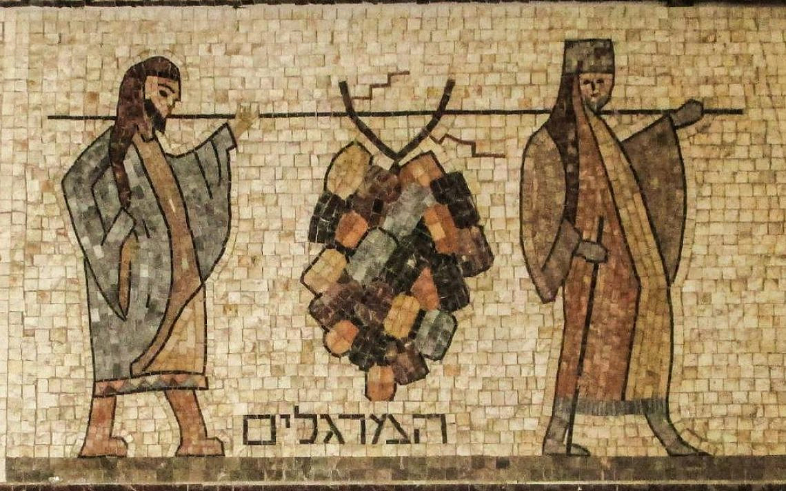 פסיפס בבית הכנסת התוניסאי בעכו. (צילום: ד"ר אבישי טייכר. מתוך אתר פיקיוויקי)