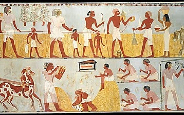 מודדים מצרים מודדים שדה באמצעות חבל ארוך שמגולגל על כתפיהם - איור של Charles K. Wilkinson משנת 1930 על פי ציור קיר מן השנים 1567-1320 לפנה