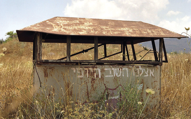 לעד אופיר, אצלנו חשוב היופי, מתוך הסדרה ׳נקרופוליס׳, 1997