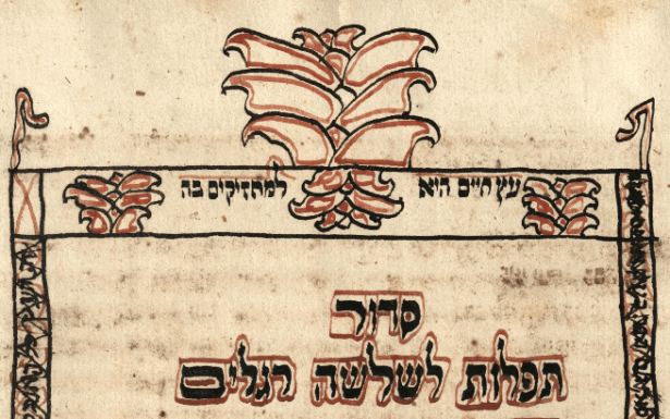 פרט מתוך מחזור מנהג תימן עם פירוש עץ חיים, 1887. מאוסף הספריה הלאומית | صفحة من التقليد اليمنيّ مع تعليق شجرة الحياة، 1887. من مجموعة المكتبة الوطنيّة