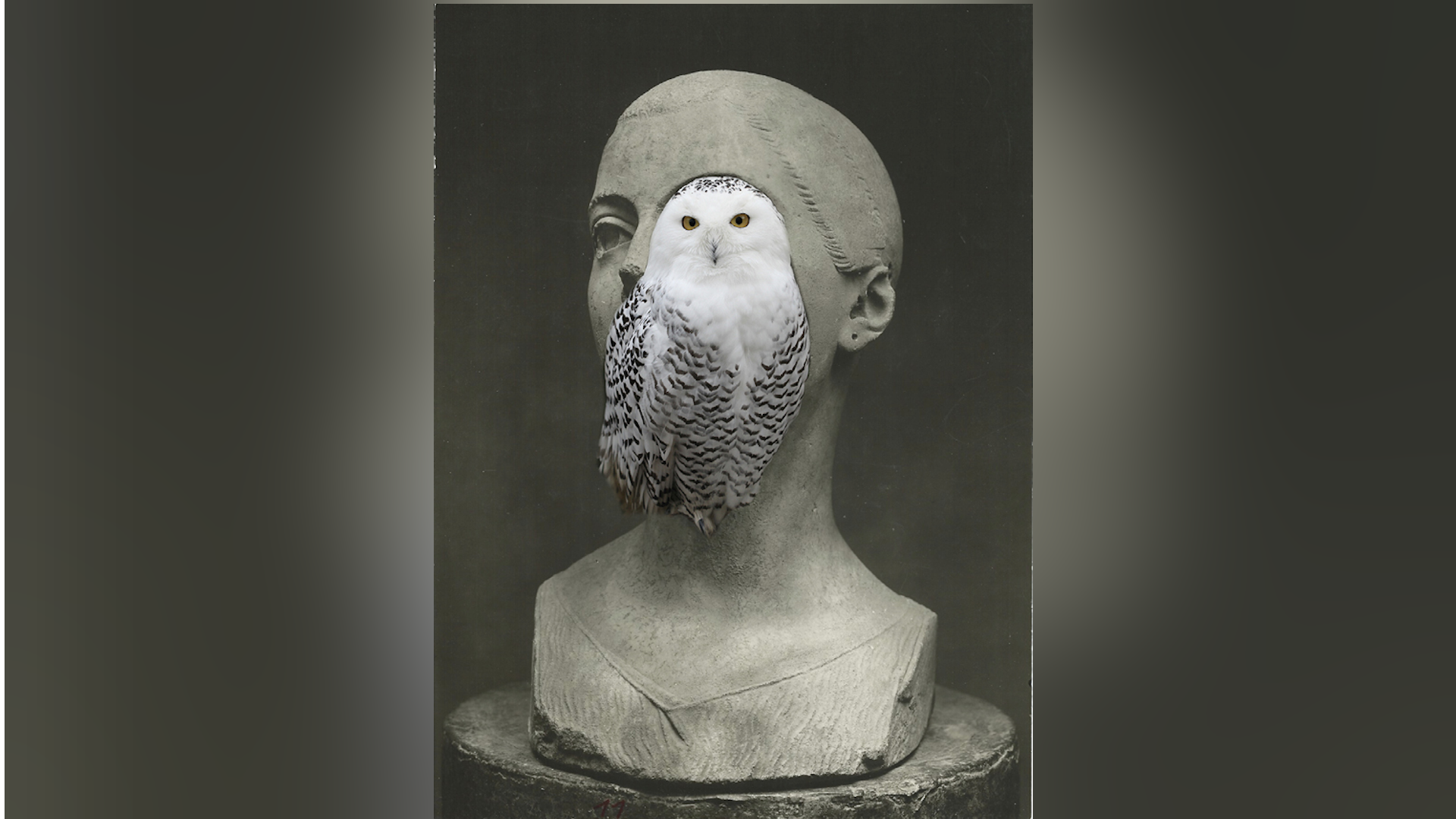 רונית פורת, ללא כותרת, 2014 (דרך עיניה של ציפור לילה)